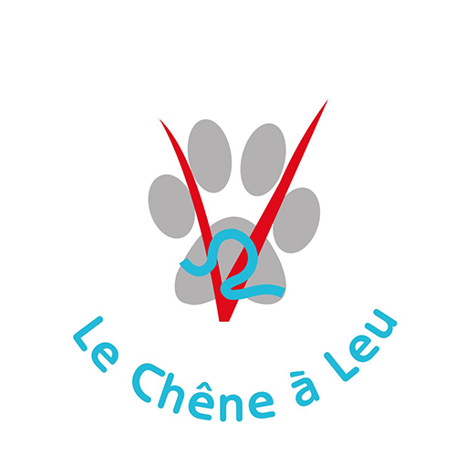 LOGO_cheneleu