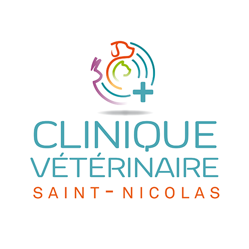 LOGOsaintnicolas