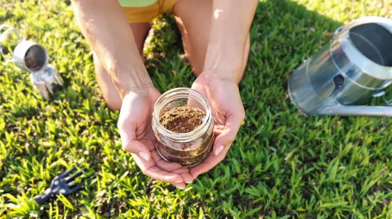 Votre pelouse redeviendra plus dense et plus verte en ajoutant un seul élément naturel dès maintenant (sans produits chimiques)